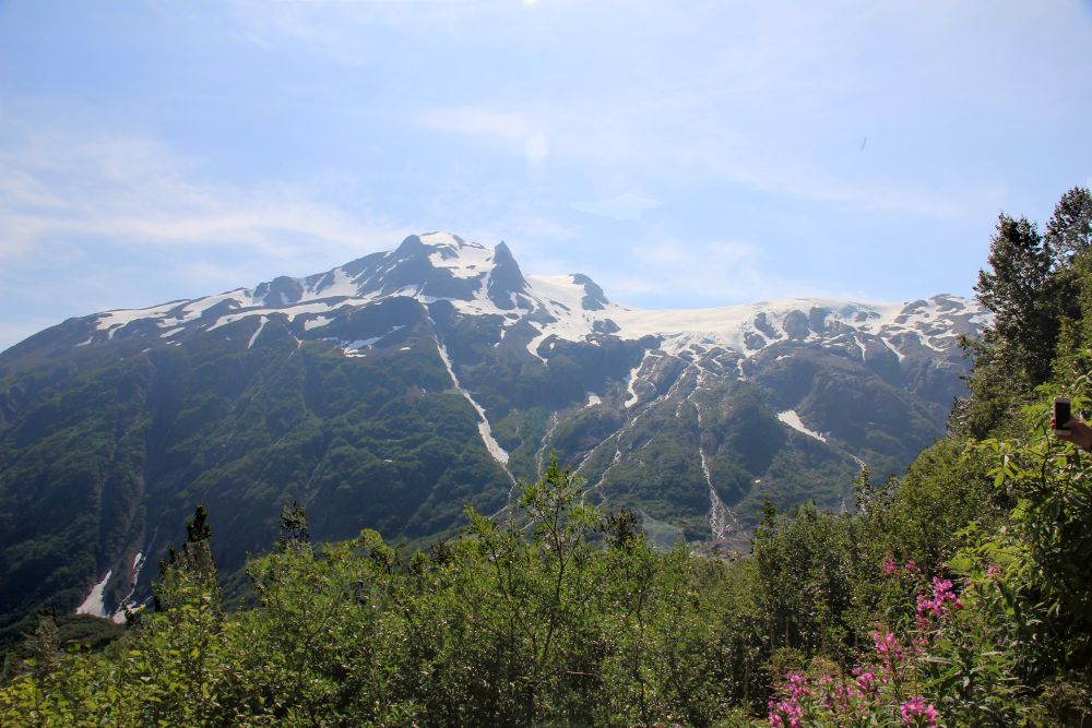 Outlook
